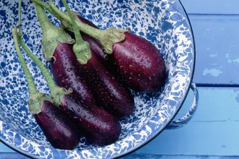 Berenjena: por qué es buena para nuestra salud. Berenjena: por qué es buena para nuestra salud.