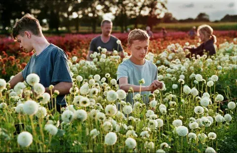 Close, de Lukas Dhont, uno de los imperdibles del MUBI Fest Close, de Lukas Dhont, uno de los imperdibles del MUBI Fest