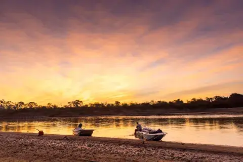 Al atardecer los murciélagos cazadores sobrevuelan.
