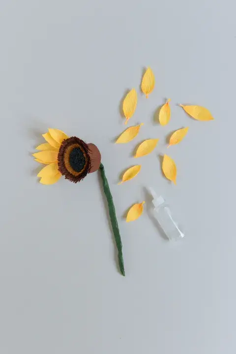sunflower_gris-616.jpg sunflower_gris-616.jpg