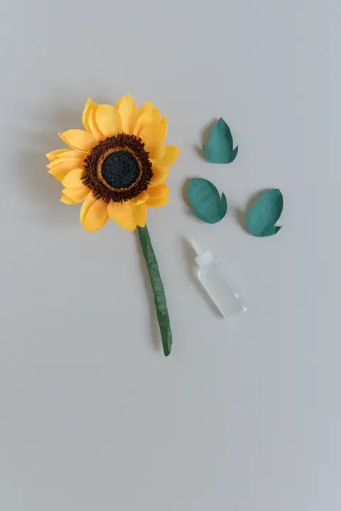 sunflower_gris-622.jpg sunflower_gris-622.jpg