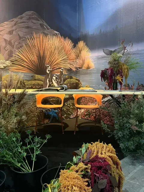 La preocupación de la diseñadora argentina Sofía Willemoës por el Mar Argentino se transformó en una propuesta de diseño que fue furor en París. La preocupación de la diseñadora argentina Sofía Willemoës por el Mar Argentino se transformó en una propuesta de diseño que fue furor en París.