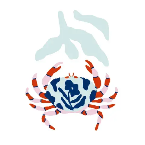Cáncer Cáncer
