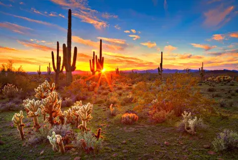 Sonora: el desierto más caliente. Sonora: el desierto más caliente.