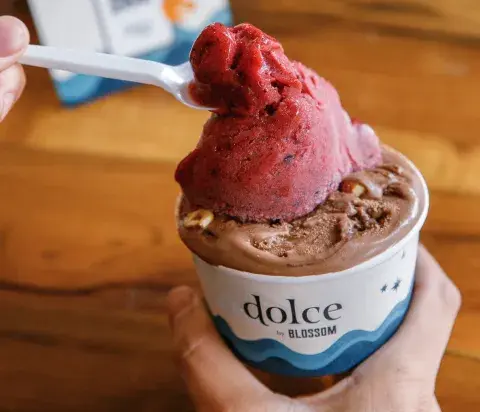 dolce_dolce_25.jpg dolce_dolce_25.jpg