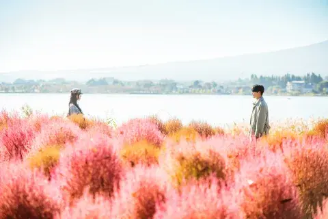 DOONA! se convirtió en uno de los estrenos más importantes del año.