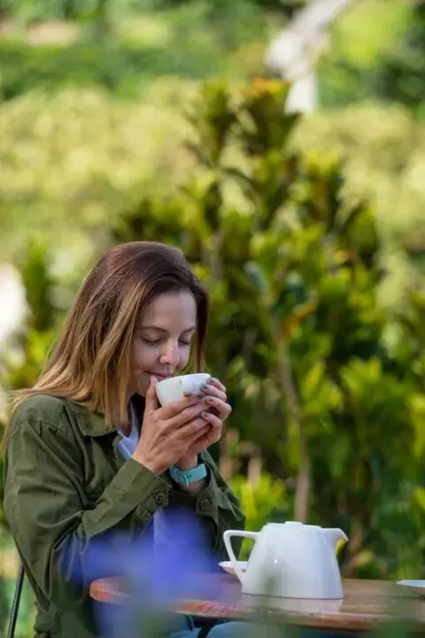 medium-coffee_farm_chiriqui_province.jpg
