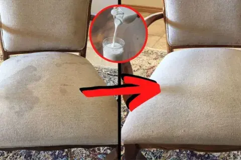 Truco casero para eliminar la suciedad de tus sillas. Truco casero para eliminar la suciedad de tus sillas.