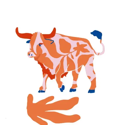 Tauro Tauro