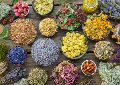 La yerba mate creció mucho a partir de la incorporación de una gran variedad de blends. La yerba mate creció mucho a partir de la incorporación de una gran variedad de blends.