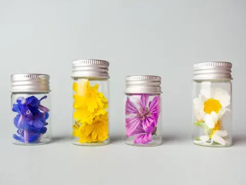 Flores de Bach para aplicar a las mascotas. Flores de Bach para aplicar a las mascotas.