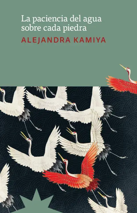 La paciencia del agua sobre cada piedra, de Alejandra Kamiya La paciencia del agua sobre cada piedra, de Alejandra Kamiya