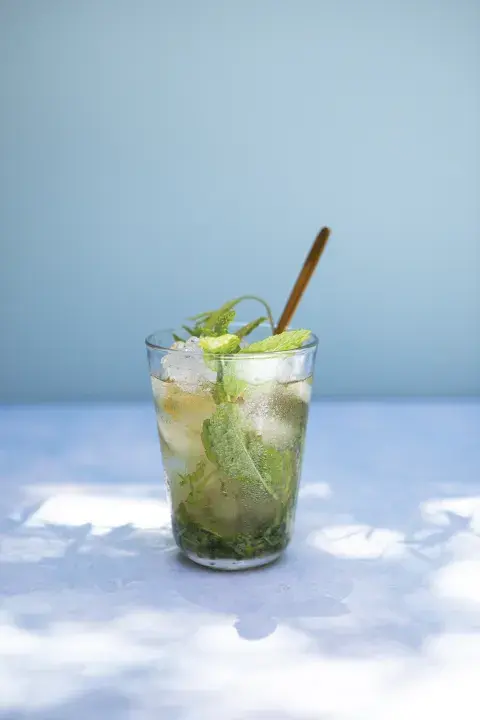mojito_de_cedron_c_victoria_schiopetto.jpg