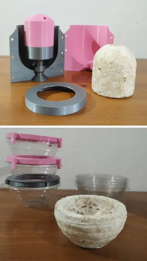 Urnas biodegradables para mascotas: ¿cómo funcionan y por qué resignifican la muerte? Urnas biodegradables para mascotas: ¿cómo funcionan y por qué resignifican la muerte?