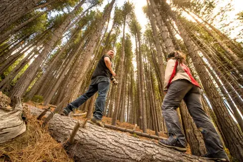 La Isla Victoria y el Bosque de Arrayanes son parte fundacional de Bariloche. La Isla Victoria y el Bosque de Arrayanes son parte fundacional de Bariloche.