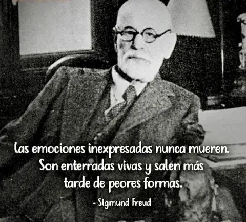 freud-frase.jpeg