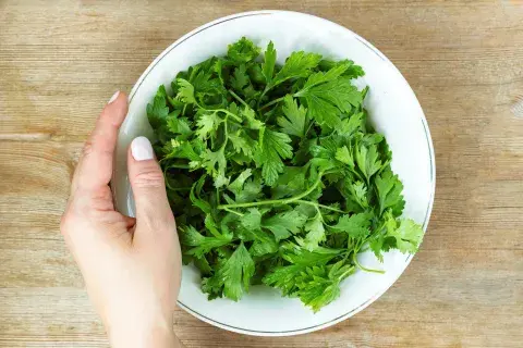 El perejil es rico en vitaminas y potasio.