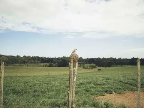 lajuanita-naturaleza.jpg