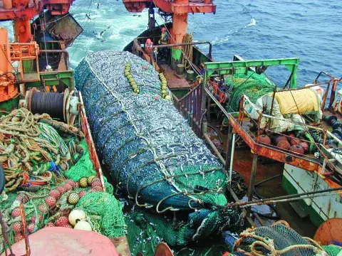 Pesca de arrastre. Pesca de arrastre.