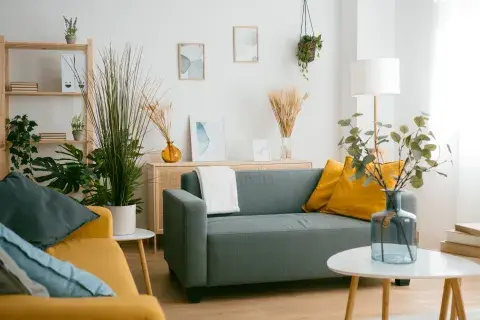 Fortalecer la salud y favorecer el relax en el hogar según las neurociencias es posible. Fortalecer la salud y favorecer el relax en el hogar según las neurociencias es posible.