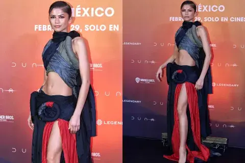La actriz lució un diseño que llamó la atención en el estreno de Dune II La actriz lució un diseño que llamó la atención en el estreno de Dune II