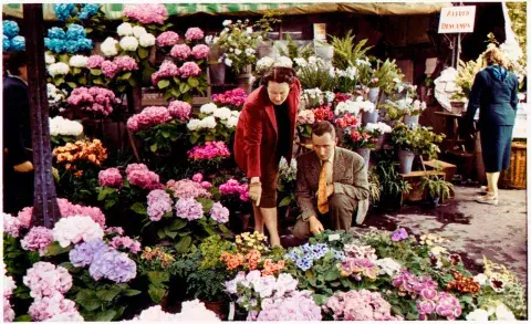 Catherine se alejó de la moda y pasó el resto de su vida rodeada de flores. Catherine se alejó de la moda y pasó el resto de su vida rodeada de flores.