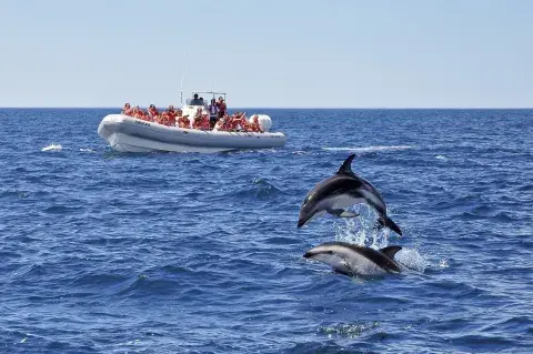Puerto Madryn , la escapada ideal para disfrutar con los más chicos.