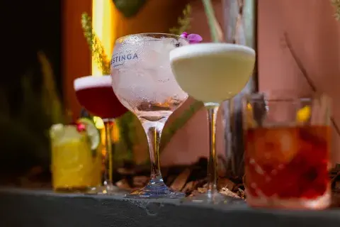 Hay más de 6 variedades de gin para degustar. Hay más de 6 variedades de gin para degustar.