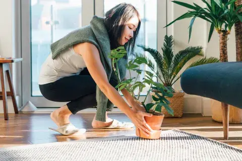 Objetos simples y tratar de recuperar, reciclar o darles nuevos usos a las cosas están entre la filosofía del wabi sabi. Objetos simples y tratar de recuperar, reciclar o darles nuevos usos a las cosas están entre la filosofía del wabi sabi.