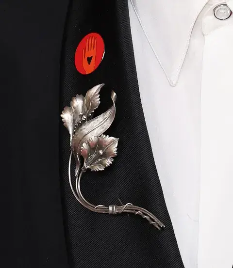 El pin rojo que llevaron las celebrities en la 96° edición de los Premios Oscar 2024. El pin rojo que llevaron las celebrities en la 96° edición de los Premios Oscar 2024.