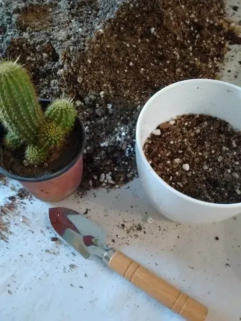 jardineria-1.jpg