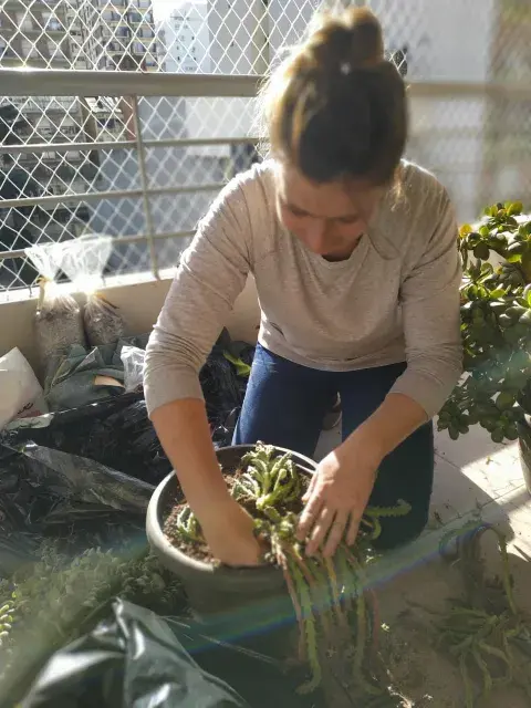 jardineria-2.jpg