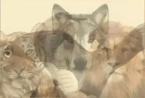Test de personalidad: el animal que veas primero revelará cuáles son los pilares de tu vida. Test de personalidad: el animal que veas primero revelará cuáles son los pilares de tu vida.