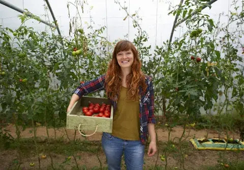 Entre los beneficios de consumir tomates, mejora tu visión y la circulación sanguinea. Entre los beneficios de consumir tomates, mejora tu visión y la circulación sanguinea.
