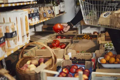 El atún y el tomate tiene grandes propiedades que benefician tu salud. El atún y el tomate tiene grandes propiedades que benefician tu salud.