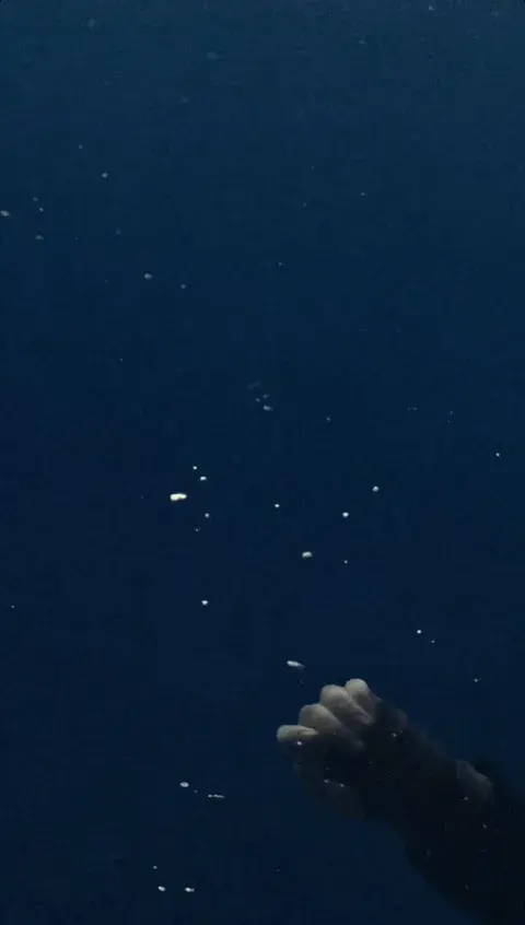 La Storie que pudieron ver los "mejores amigos" de Billie Eilish.