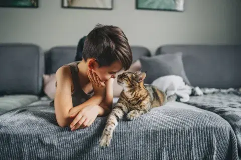 Acariciar a un gato ayuda a reducir el estrés. Acariciar a un gato ayuda a reducir el estrés.