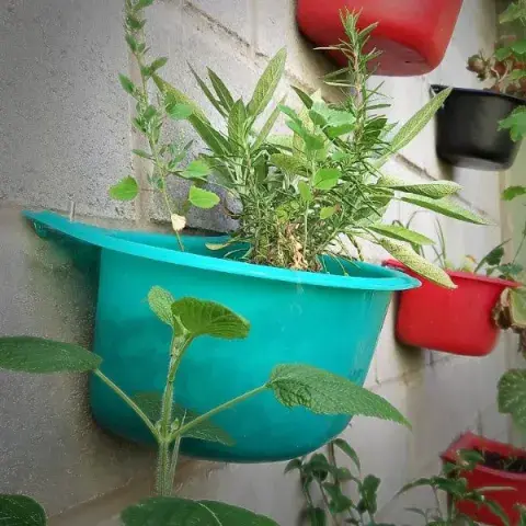 jardin_vertical_con_macetas_plasticas_para_colgar_compas_compostera.jpeg