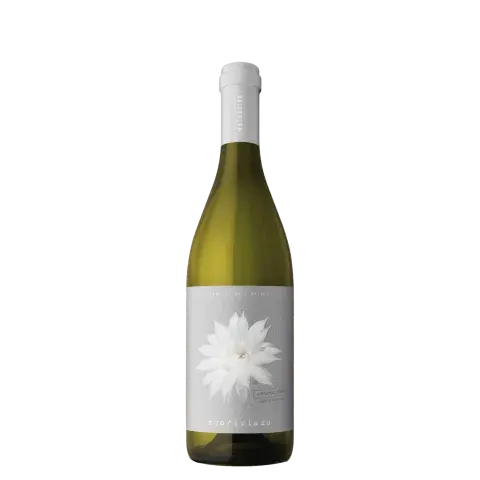 Blanco de Malbec: Malbecino Acariciado, de Familia Salas Organic Estate Blanco de Malbec: Malbecino Acariciado, de Familia Salas Organic Estate