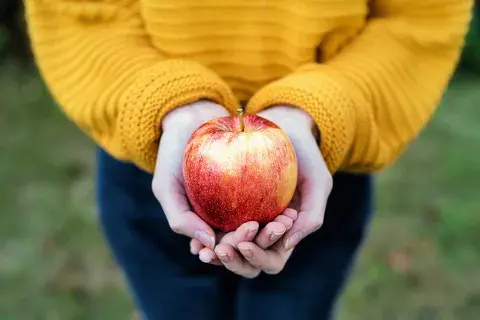 Comer manzana a diario puede mejorar tu sistema inmunológico. Comer manzana a diario puede mejorar tu sistema inmunológico.