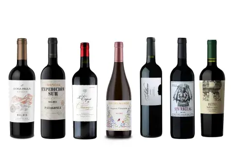 7 botellas de Malbec que vas a querer probar.