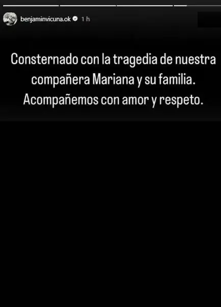 El mensaje de Vicuña a su colega tras la muerte de su hijo Pedro, de 6 años. El mensaje de Vicuña a su colega tras la muerte de su hijo Pedro, de 6 años.