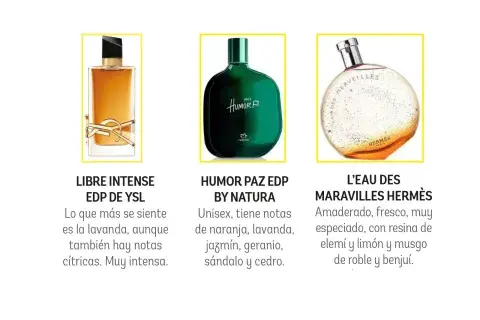3 fragancias que son ideales si te gustan los aromas fougeré.