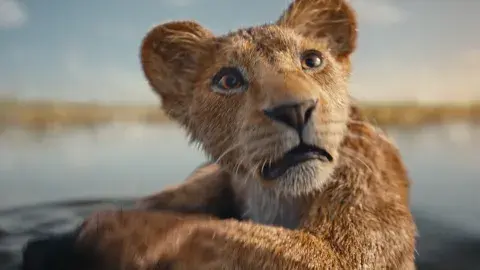 Así es la película Mufasa: El Rey León. Así es la película Mufasa: El Rey León.