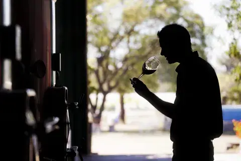 Cada vez más bodegas se suman a la ruta del vino de Córdoba. Cada vez más bodegas se suman a la ruta del vino de Córdoba.