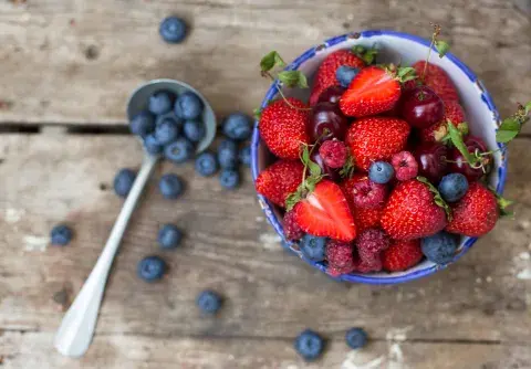 Los componentes de los frutos del bosque protegen a ciertas bacterias del intestino Los componentes de los frutos del bosque protegen a ciertas bacterias del intestino