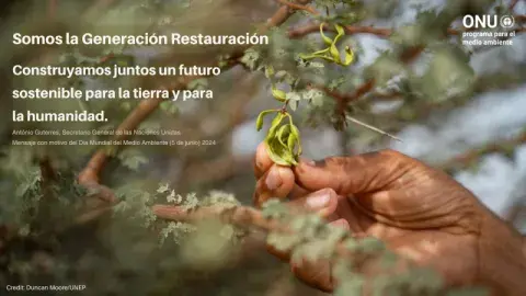 El lema de este año por el Día Mundial del Medioambiente. El lema de este año por el Día Mundial del Medioambiente.