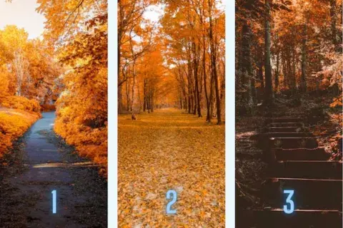 Elegí un paisaje otoñal y descubrí la esencia de tu personalidad. Elegí un paisaje otoñal y descubrí la esencia de tu personalidad.