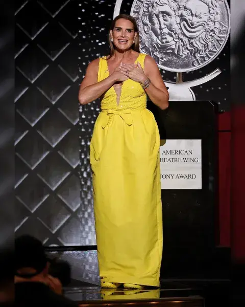 Por qué Brooke Shields fue a los Premios Tony en Crocs. Por qué Brooke Shields fue a los Premios Tony en Crocs.