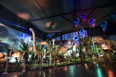 Exposición Dinosaurios & Dragones en Tecnópolis Exposición Dinosaurios & Dragones en Tecnópolis